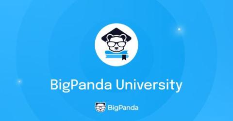 bigpanda