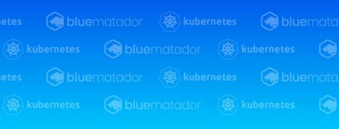 blue matador