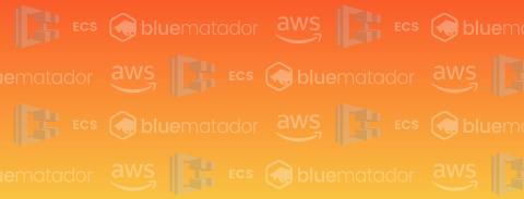 blue matador