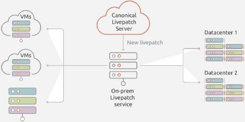 canonical