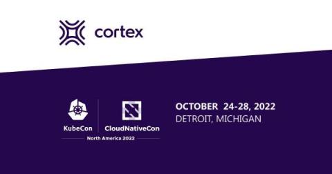 cortex