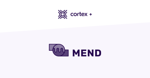 cortex