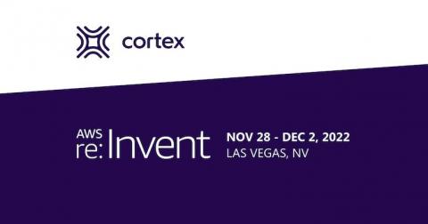 cortex