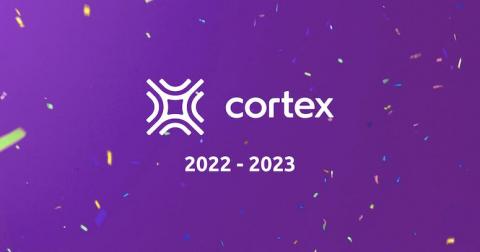 cortex