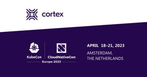 cortex