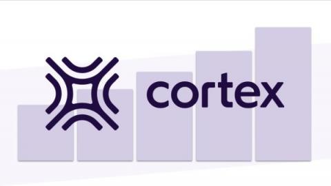 cortex