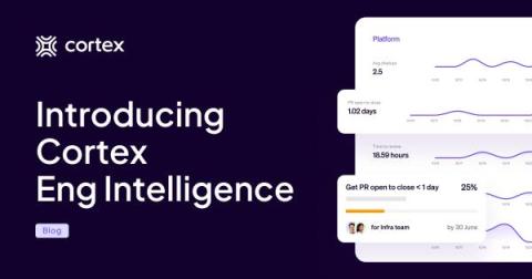 cortex