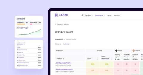 cortex