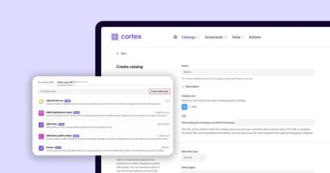 cortex
