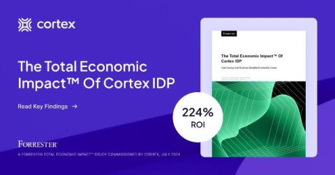 cortex