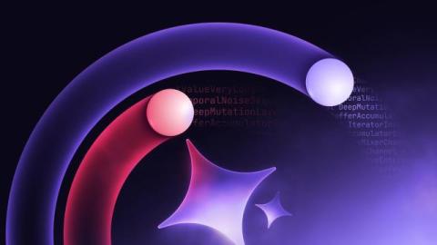 cortex