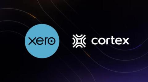 cortex