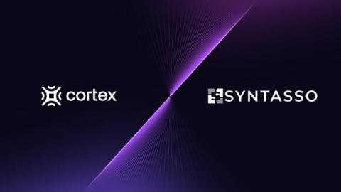 cortex