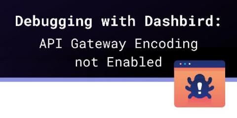 dashbird