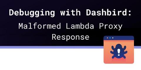 dashbird