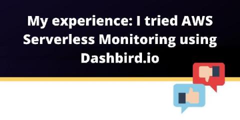 dashbird