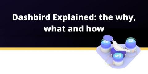 dashbird