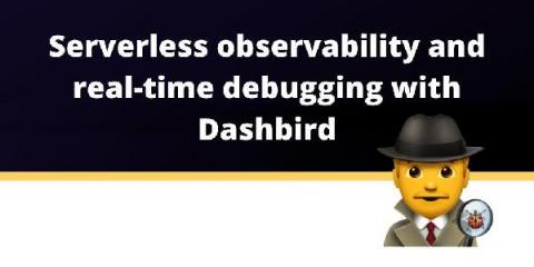 dashbird