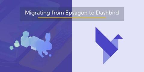 dashbird