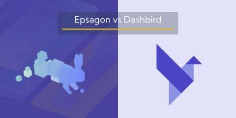 dashbird