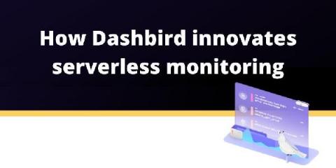 dashbird