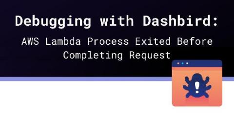 dashbird