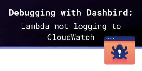dashbird