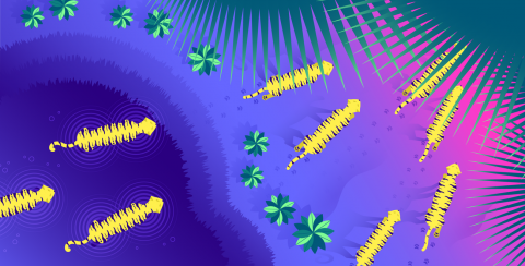 datadog