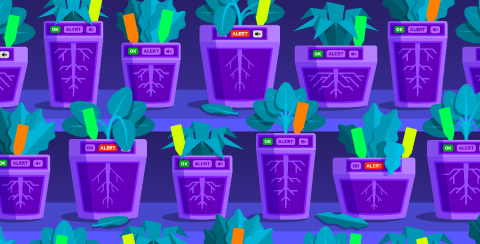 datadog