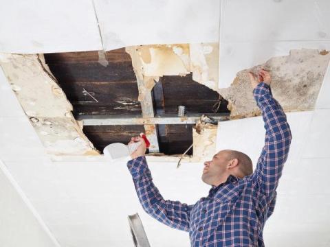 How Timely Water Damage Restoration in Columbus Saves Your Property Value