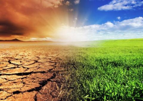 Will Brieger Fights for Science-Based Climate Solutions With Environmental Lawyer's Expertise