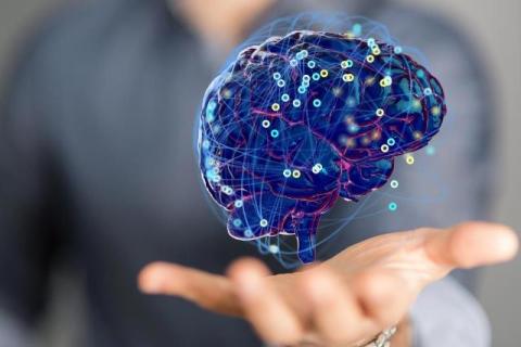 MyIQ Online IQ Testing as a Data-Driven Cognitive Tool