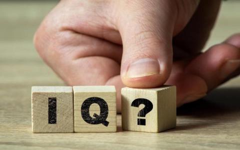 Online IQ Testing as a Digital Measurement System