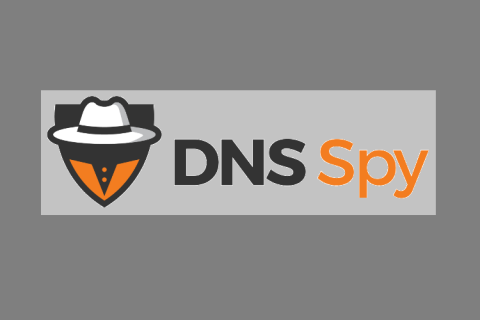 dns spy