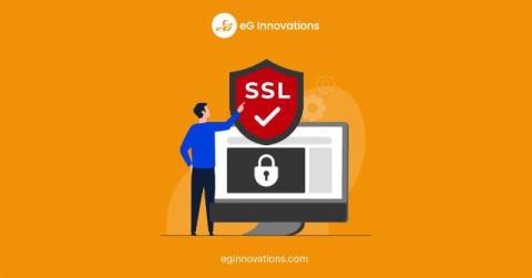 eg innovations