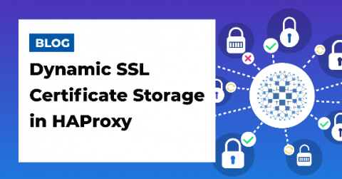 haproxy