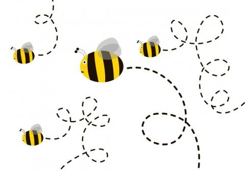 honeycomb