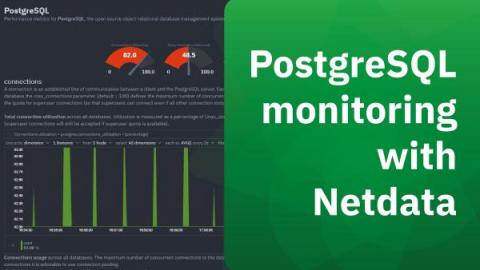 netdata