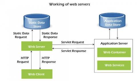 netdata