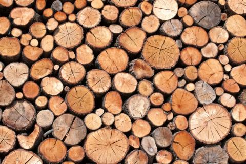 graylog