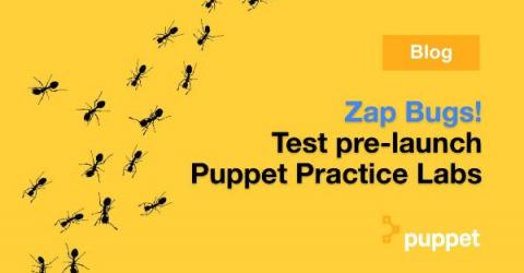 puppet