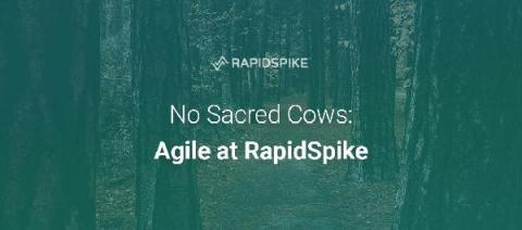 rapidspike