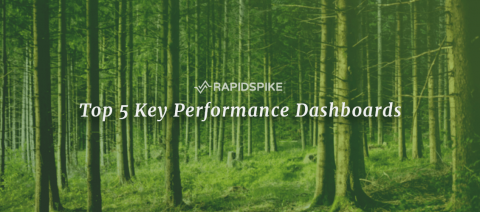 rapidspike