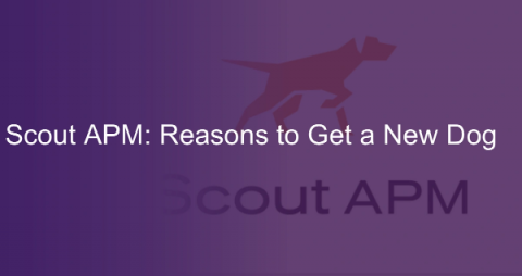 scout