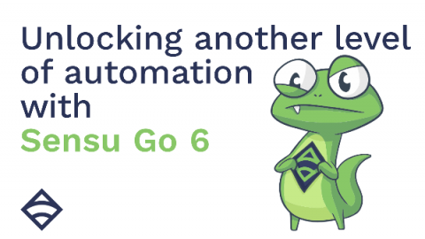 sensu