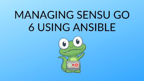 sensu