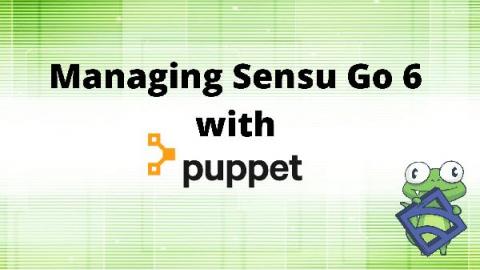 sensu