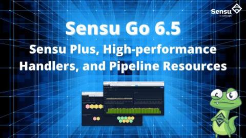 sensu