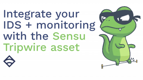 sensu