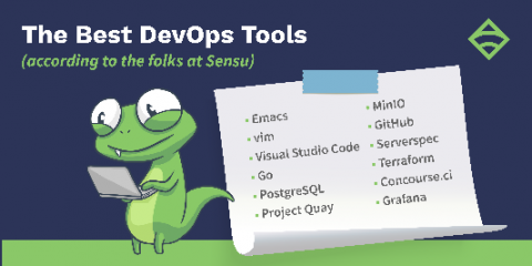 sensu